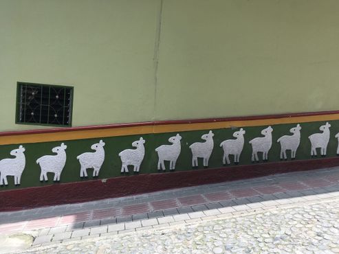 Сокало с овечками