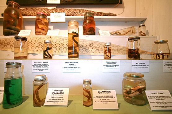 Музей Института Вудман