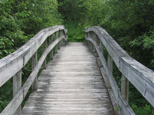 Тропа Роберта Фроста