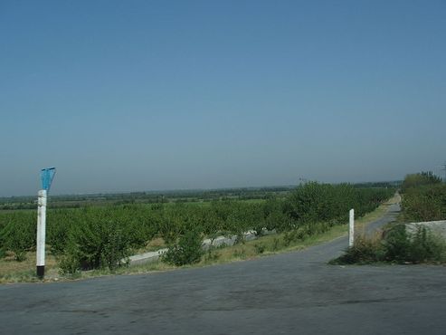 Поля в Ферганской долине, к западу от города Фергана, Узбекистан