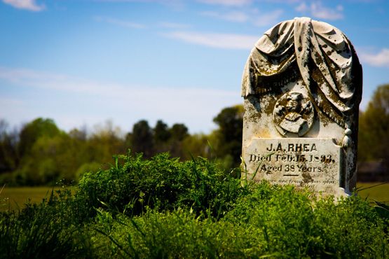 Могила Джона Реи