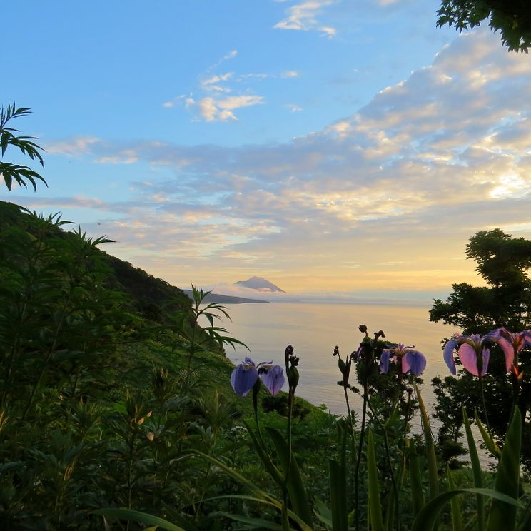 Шале, Палатки