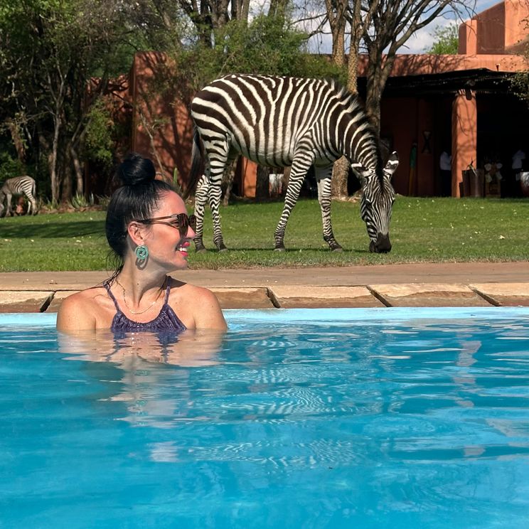 Бутик-отели, Апартаменты, Лоджи