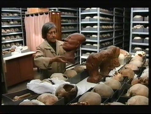 Комната 10 000 древних черепов