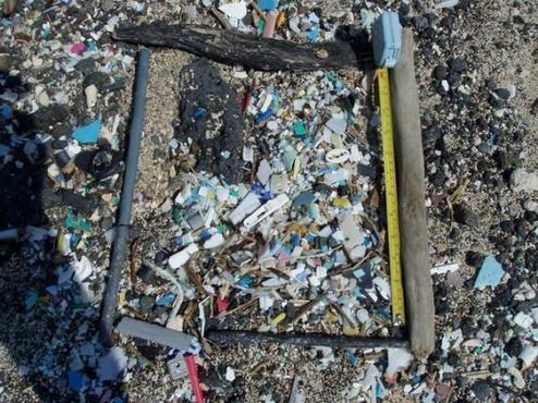 Пляж Камило