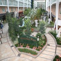 Oasis of the Seas (20/32)