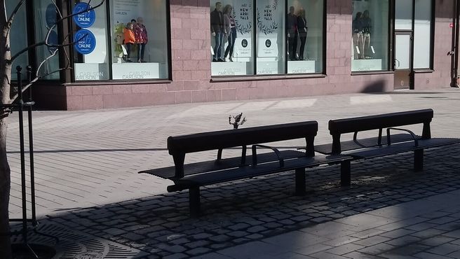 Одинокий гном на скамейке