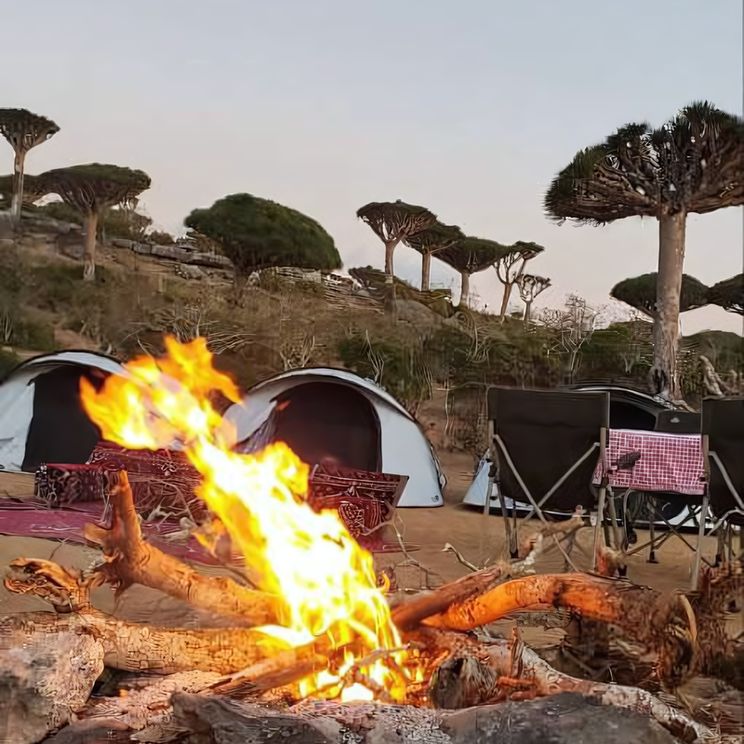 Кемпинги, Глэмпинги, Палатки