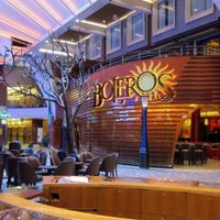 Allure of the Seas (7/39)