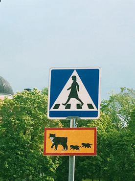 Кошки и дорожный знак с женской фигурой