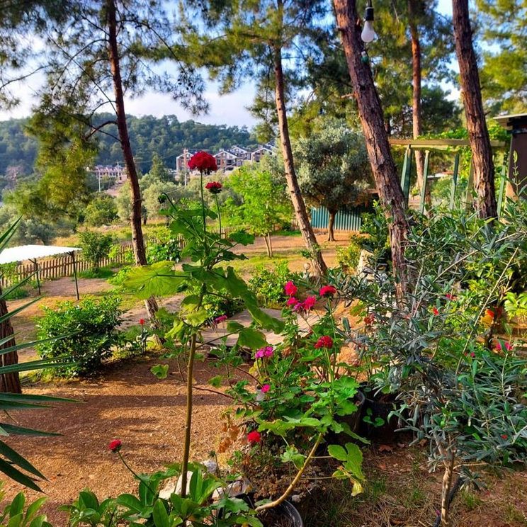 Кемпинги, Палатки