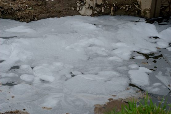 Обычное количество токсичной пены на поверхности реки