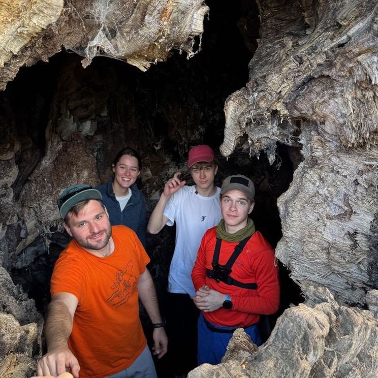 Отели 1-2*, Гостевые домики, Отели 3*, Отели 4*, Бунгало