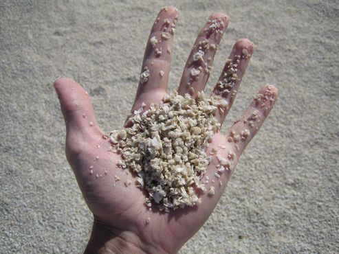 У него в руке песок? Нет. Это ракушки.
