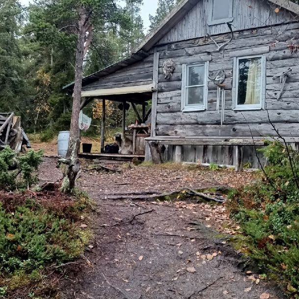 Гостевые домики