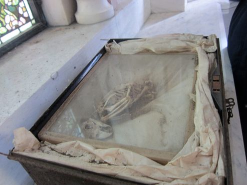 Попугай в стеклянном гробике в мавзолее Данлопов
