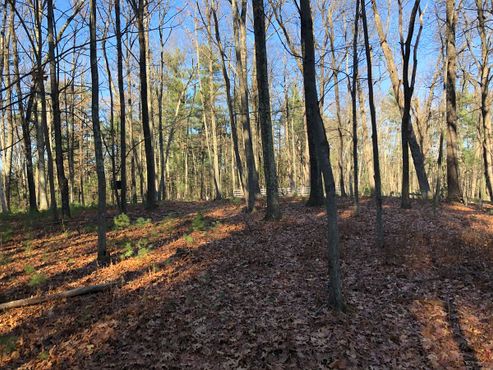 Священный холм