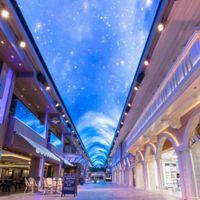 MSC Grandiosa (12/39)