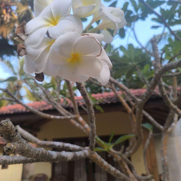 Отели 1-2*, Гостевые домики, Отели 3*