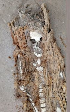 Мумия в головном уборе из перьев, завёрнутая в тростник