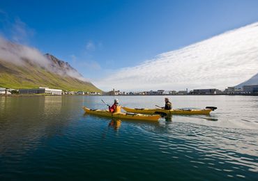 Тур на каяках по Вестфьордам из Исафьордюра  