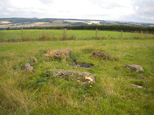 Камни Роллрайт