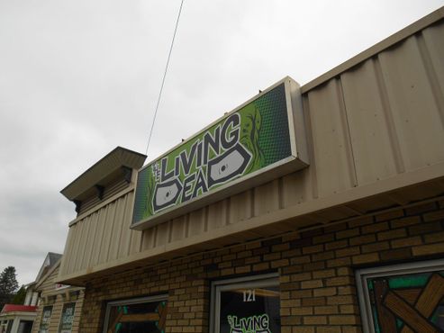 Музей «Живые мертвецы»