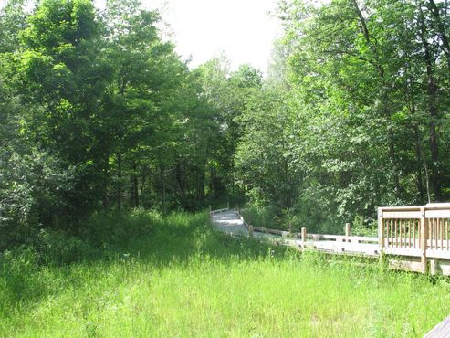 Тропа Роберта Фроста