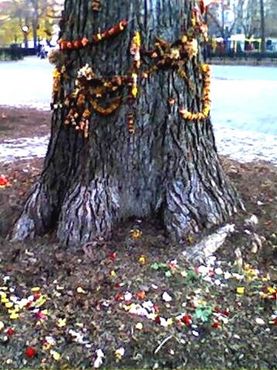 Дерево «Харе Кришна» с подношениями