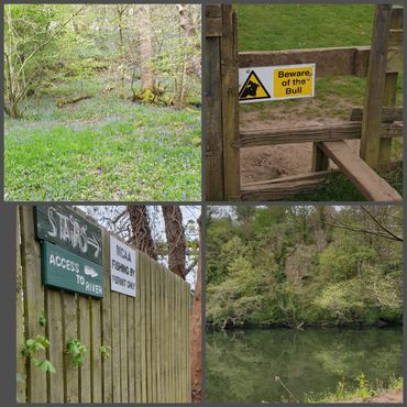 Тропа вдоль реки