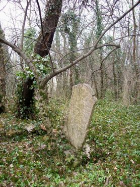 Старое кладбище Цинкоты