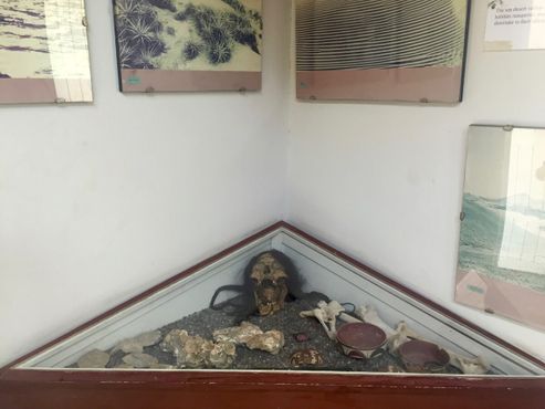 Древние человеческие останки в музее Марии Райхе.