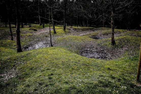 Ландшафт бывшей коммуны Флери-деван-Дуомон сегодня представляет собой лишь заросшие воронки снарядов