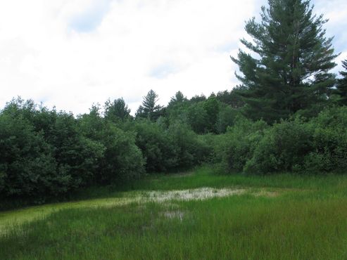 Тропа Роберта Фроста