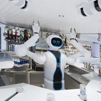 MSC Virtuosa (25/34)