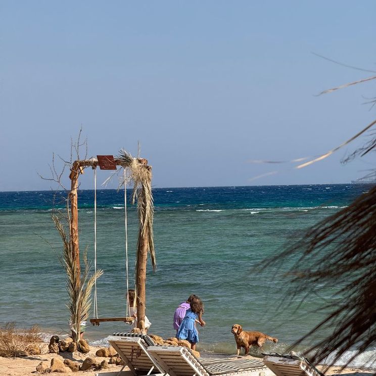Апартаменты, Бунгало