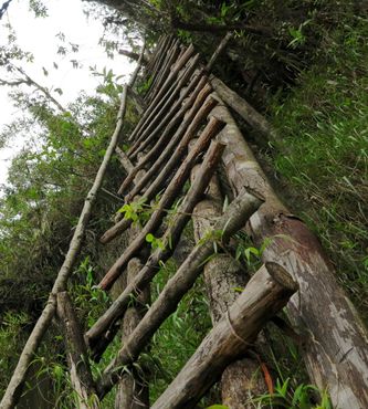Лестница на обратной стороне Уайна-Пикчу
