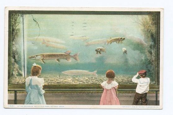 Океанариум на открытке 1907 года