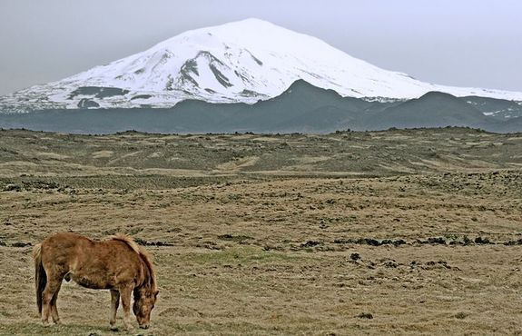 Лошадь на фоне вулкана