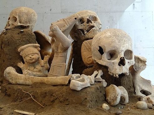 Археологические находки эпохи ацтеков и человеческие останки