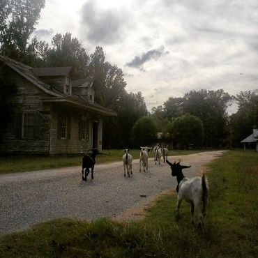 Руины городка Мираж