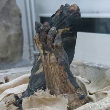 Мумия Та-Куш