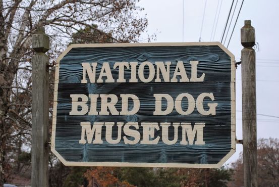 Национальный музей охотничьих собак