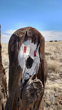 Тотем Вупатки