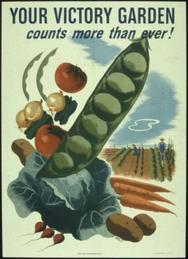 Плакат времен Второй мировой войны «Твой сад важнее, чем когда-либо!»