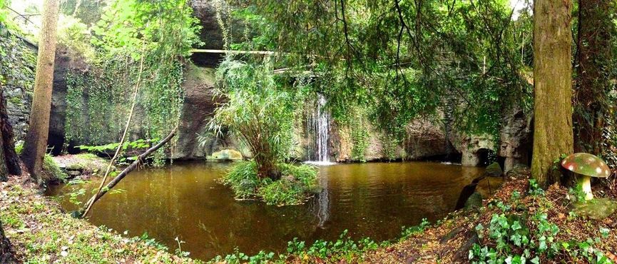 Деревня «Синергия»