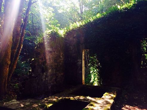 Бордо, штат Вашингтон