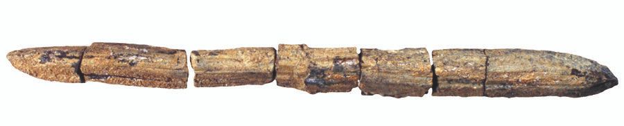 Деревянный двухточечный артефакт, найденный в самом основании комплекса Миллера возрастом 15 тыс лет