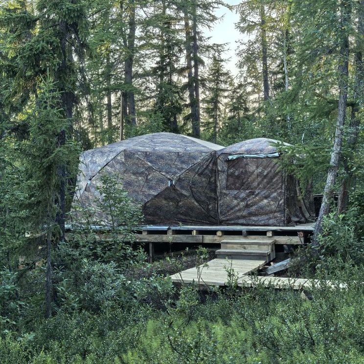 Кемпинги, Гостевые домики