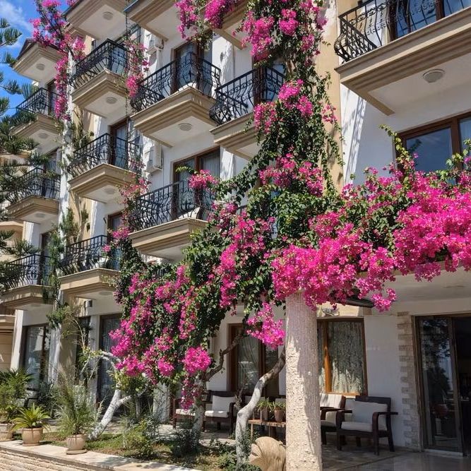 Гостевые домики, Отели 3*, Отели 4*, Бутик-отели